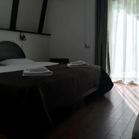 Guest house Casa Transilvania