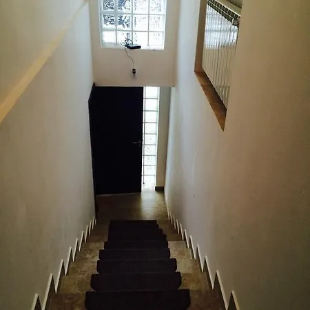 Guest house Casa Transilvania